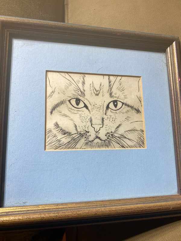 «Portrait Of A Cat’s Face» Pencil Drawing – Framed