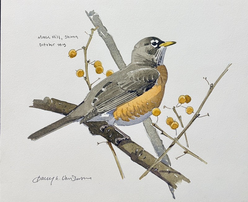 Original Bird Art Painting American Robin by Barry Van Dusen, Signed, Oct 2015
