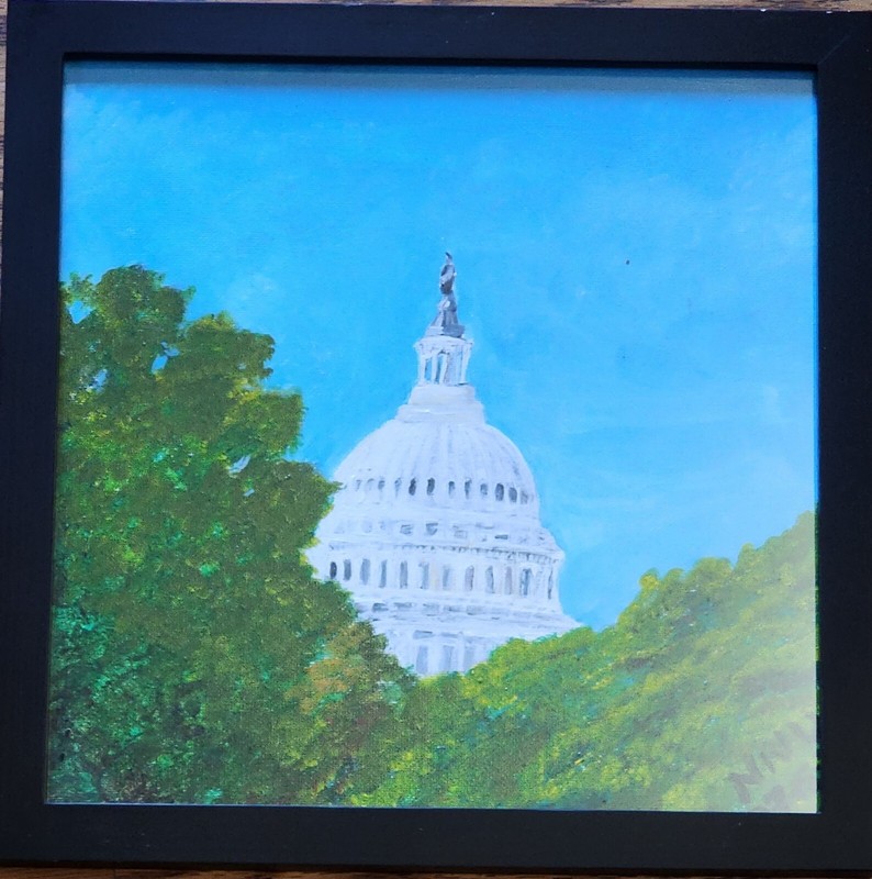 Original Framed Acrylic Painting Of The US Capitol Building | On 8x8 Canvas Boar gallery
