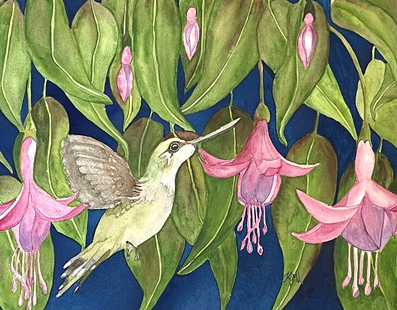 PAINTING WATERCOLOR 11X14 MAT 16X20 FOWER FUCHSIA BIRD HUMMINGBIRD PINK ORIGINAL