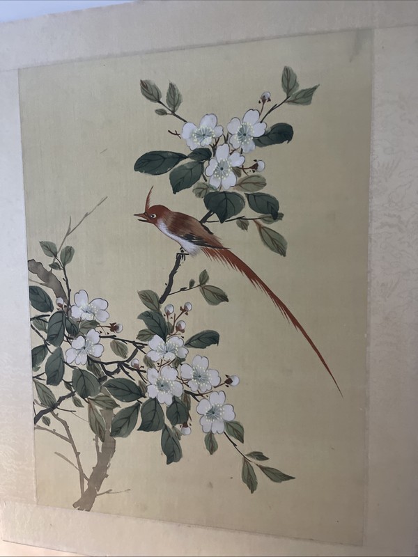 Japanese Painting Bird Flower Cherry Blossom Branch On Silk Watercolor 18x13” gallery
