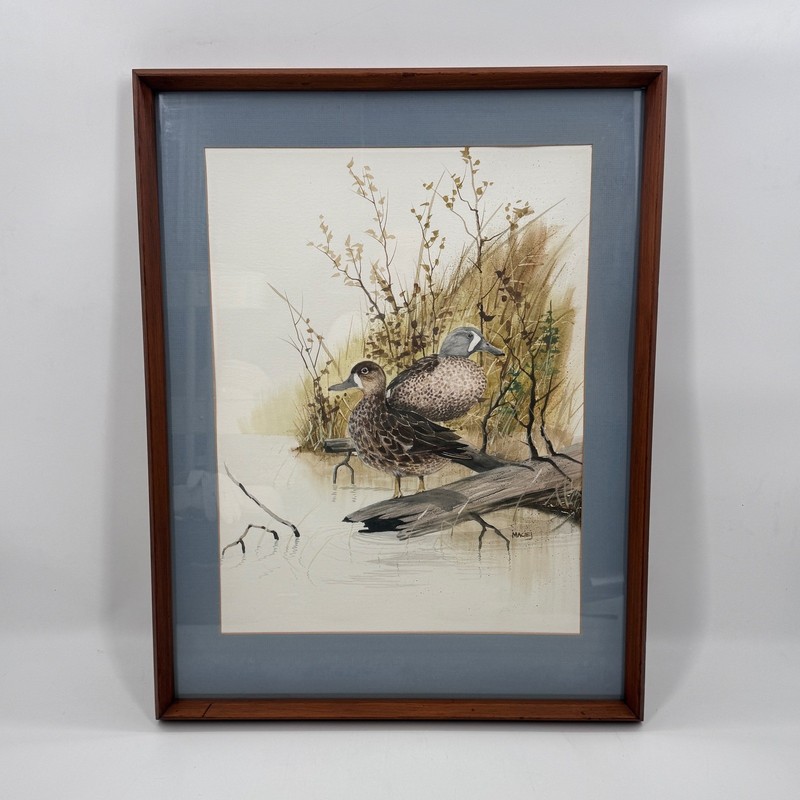 Large Original Duck Watercolor Painting Signed Maciej Wildlife Sporting Art