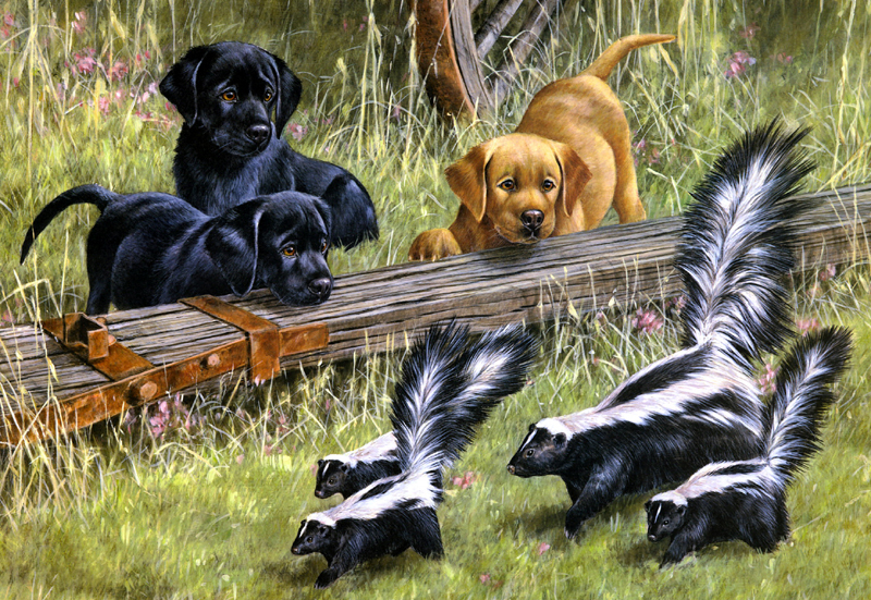 Wall art Dogs Honey Badger Animals Oil Painting Giclee Printed on canvas L351
