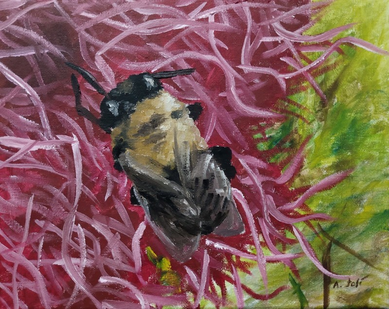 Oil Painting Bee on Flower Insect Bug Honeybee Bumblebee Floral Art by A. Joli