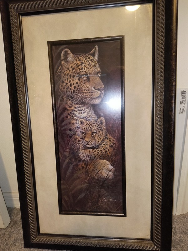 Leopard Cat with Baby Framed Wall Art Wildlife Animal Nature Home Décor