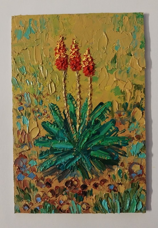 Framed Blooming Aloe Desert Succulent Plant 4x6” Impasto Oil Painting Original gallery