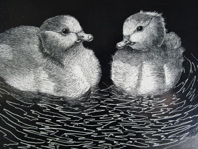 DALE HAUCK, Original Scratch Board Etching, Canada Goslings, Signed 1972 gallery