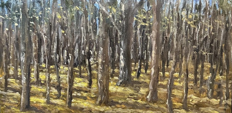 Forest With Sunshine, Late Winter. Original Oil Painting