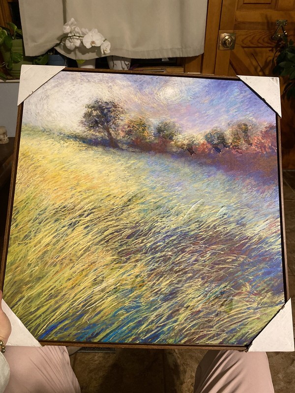 Nel Whatmore “Feathered Field” Framed Canvas Painting Art NEW gallery