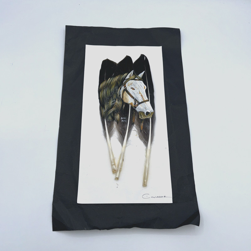 Horse Painting On Turkey Feathers Ecuadorian Artist Ugsha Yawry Signed BEAUTIFUL