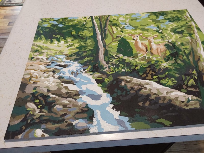 PAINT By Number COMPLETE "FAWNS IN THE FOREST" 20 x 16 Painting 2012 gallery