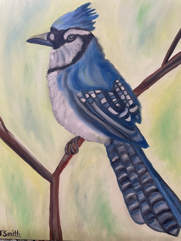 Original oil painting 11 x 14 inches gorgeous colorful blue jay bird gallery