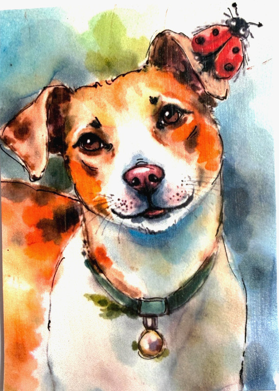 Dog Puppy Ladybug ACEO Watercolor Mixed Media Art Card OOAK Signed AdriO