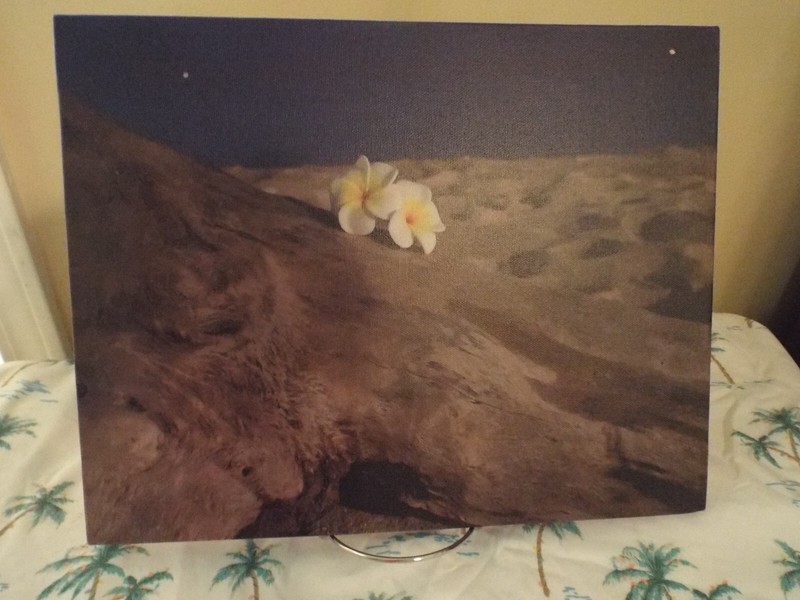 11″ x 13.5″ Canvas Print Plumeria Flowers on Driftwood on Waikiki Beach