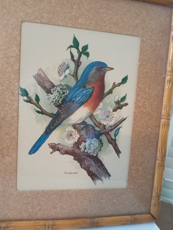 Artwork Pair Oil Painting Glorious Birds Frame& Matt Original/Print? 10″x9″