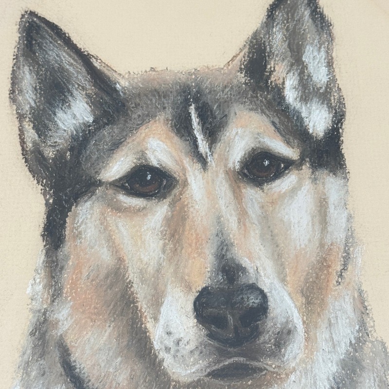 Vintage Dog Pastel Portrait Signed & Dated 1983 gallery