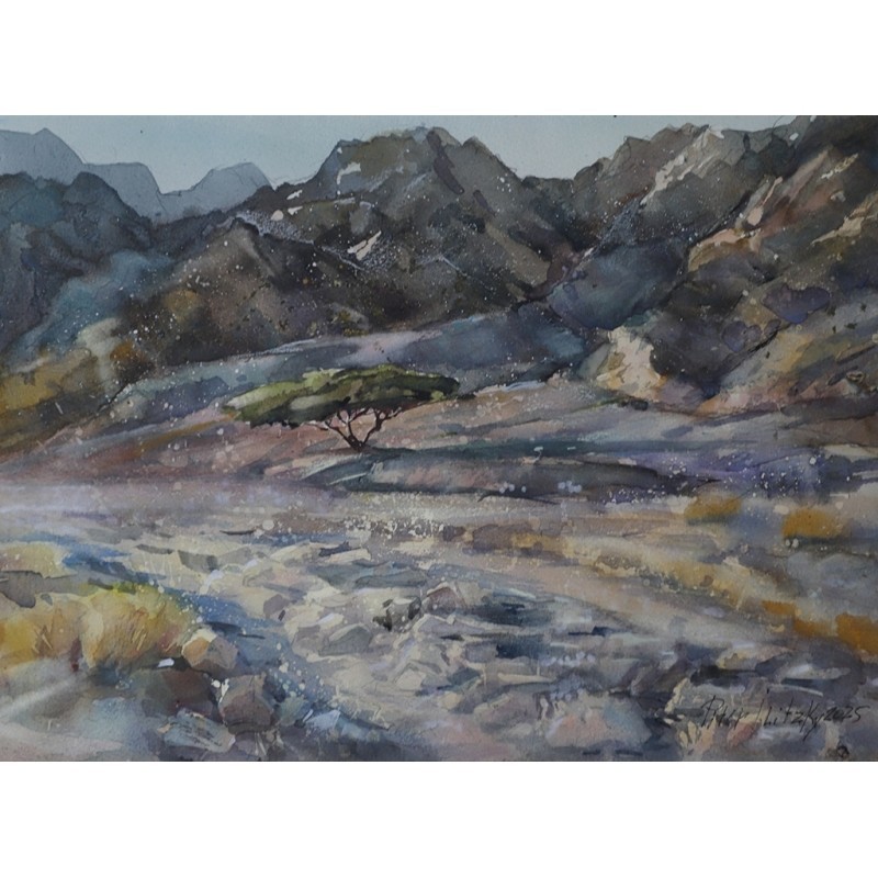 ORIGINAL Painting Impressionism Landscape Eilat Mountains 11″x15 Piter Ilitzky