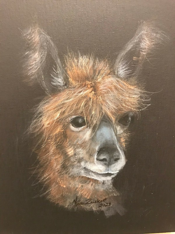 Llama Painting on black stretched canvas (unframed)