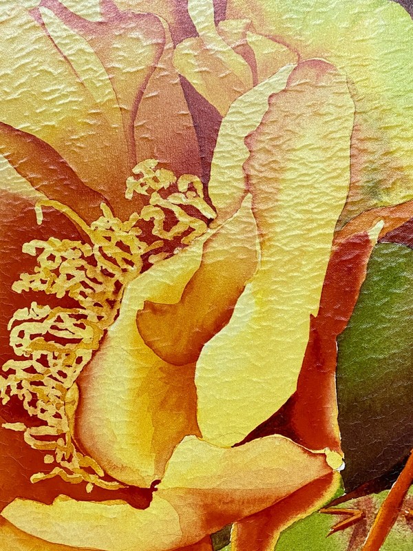 Heidi Rosner Prickly Pear 2&3 Deluxe Limited Giclee on canvas 2/25 signed CofA gallery