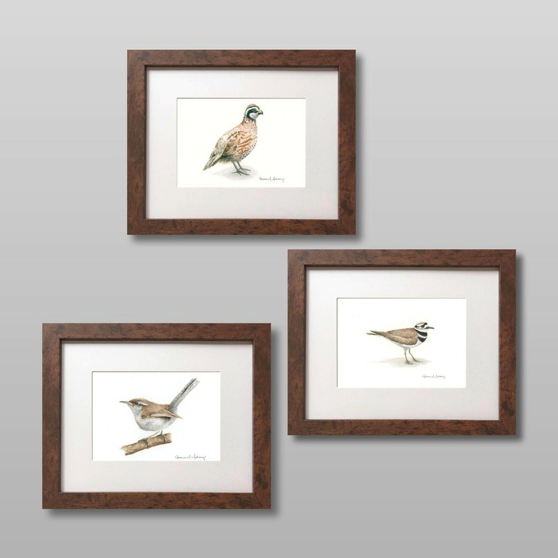 Killdeer Hand-Painted Watercolor Giclee Print, Unframed gallery