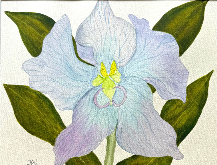PAINTING WATERCOLOR ORCHID FLOWER BLUE LAVENDER PURPLE 11X14 & DOUBLE MAT 16X 20