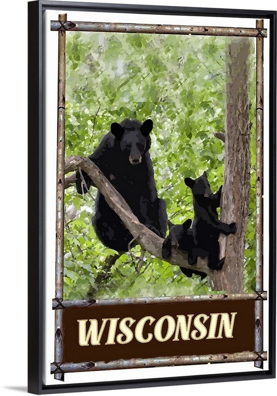 Wisconsin Black Bears Travel Poster art Prints Framed Or Canvas Wildlife