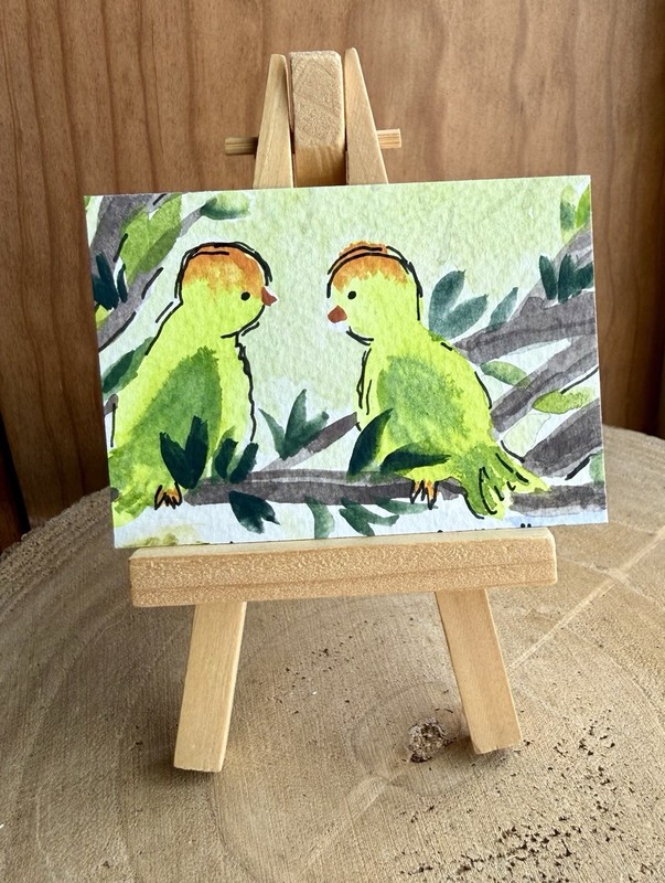 “Sadie And Sam” A Love Story Of Two Parakeets Original Watercolor Aceo Hawaii