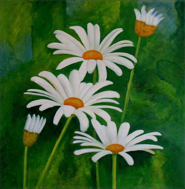 White Daisies Green Background Ex Large Modern Hand Painted Oil Painting 30x30in