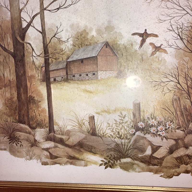 VTG Spring County Barn Quail Signed F Massa Size 18X14 Glass Frame Multicolored