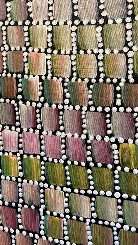 Bernadine Kemarre Johnson Aboriginal Art Paintings Set Of 2 Bush Medicine Trees gallery
