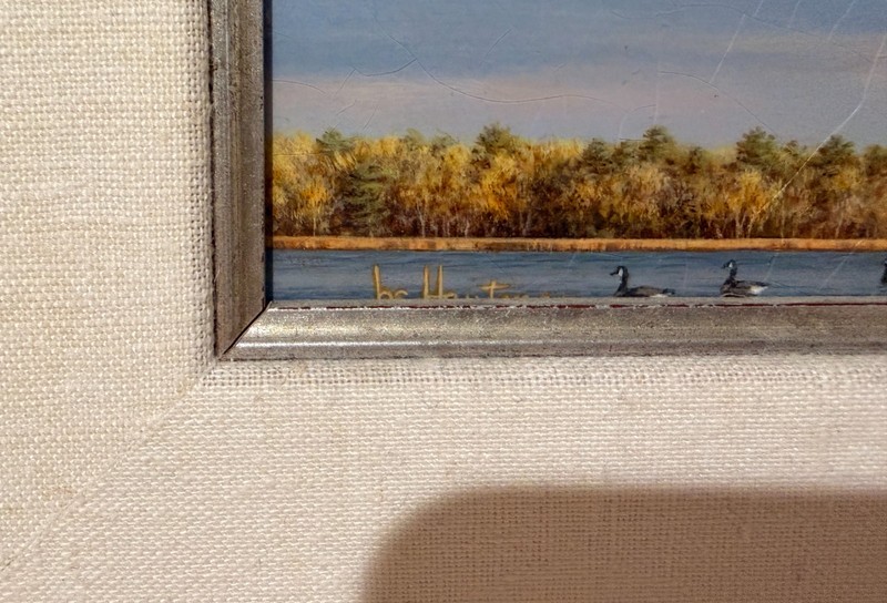 ORIGINAL Acrylic Painting by *Joe Hautman* 1996 Federal Duck Stamp Contest Entry gallery
