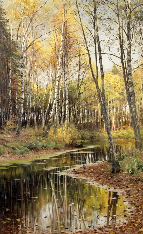 Maple forest scenery Oil painting Giclee Printed on canvas for living room L2544