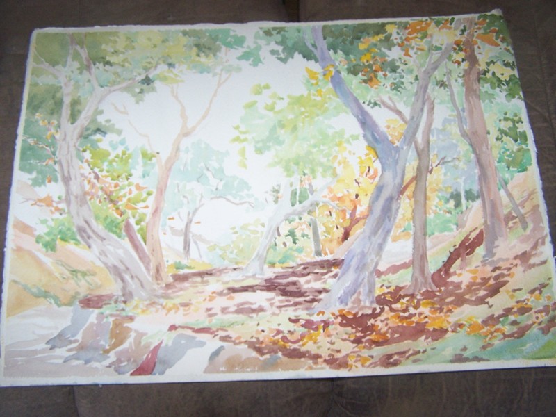 Original Watercolor By Peg Humphreys, Pretty Forest & Storm Clouds 16.25″x 22″