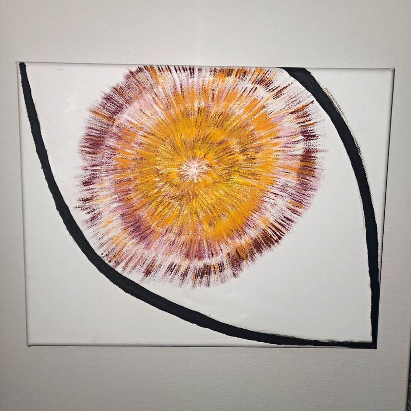 Abstract Circular Burst Canvas Painting Unframed Single Piece Wall Art Eye