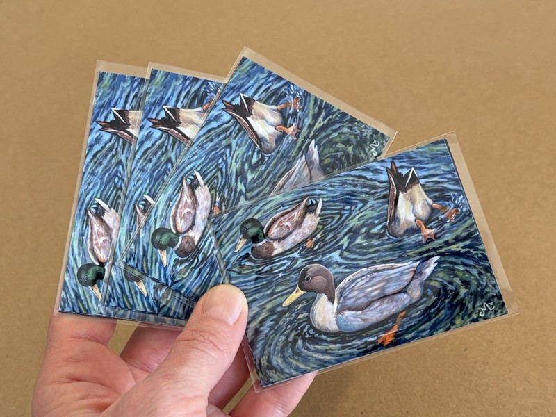Limited Edition Duck ACEO Print Magnet Mini Bird Art Collectible Ducks Cute Gift gallery
