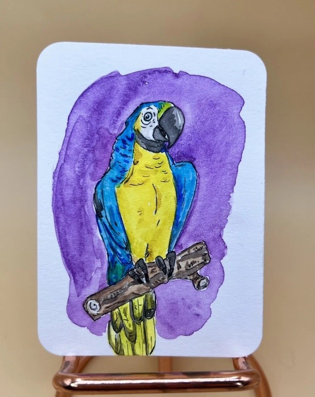 Original ACEO Blue & Yellow Macaw Parrot Bird, Gouache, Ink
