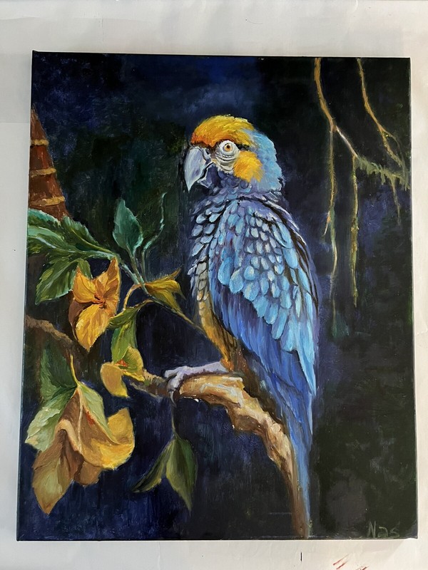 Parrot Portrait, Original Painting oil, 16x20 inches, Handmade Gift, Home Decor gallery