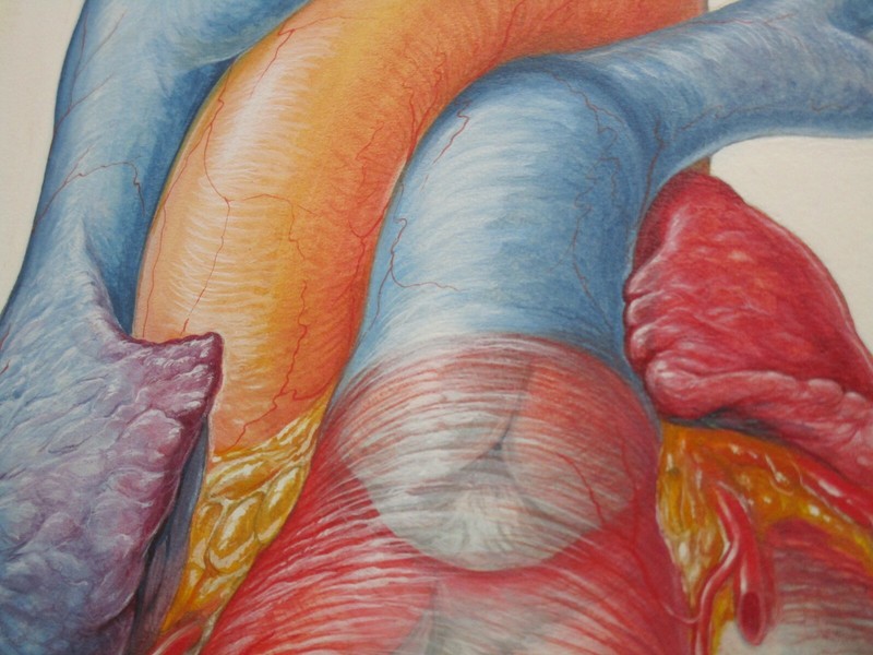 TED BLOODHART PAINTING POP ART HUMAN SCIENCE MEDICAL SURGICAL REALISM HEART OLD gallery