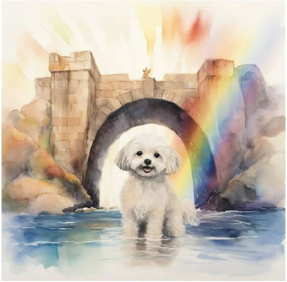 Watercolor Maltese Pet Memorial Gift Painting Art Print INCLUDES 11X14 MATTING