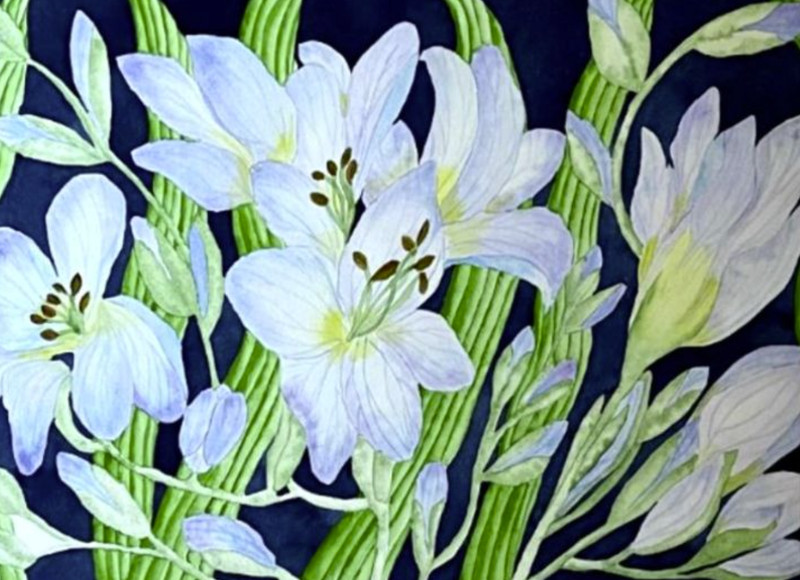 PAINTING WATERCOLOR 11X14 & DOUBLE MAT 16X20 FLOWER FREESIA BLUE LAVENDER PURPLE