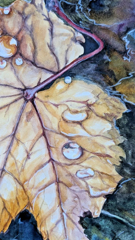 Autumn Golden Orange Leaf with Ladybug Watercolor Painting Seasonal Fall A4 Art gallery
