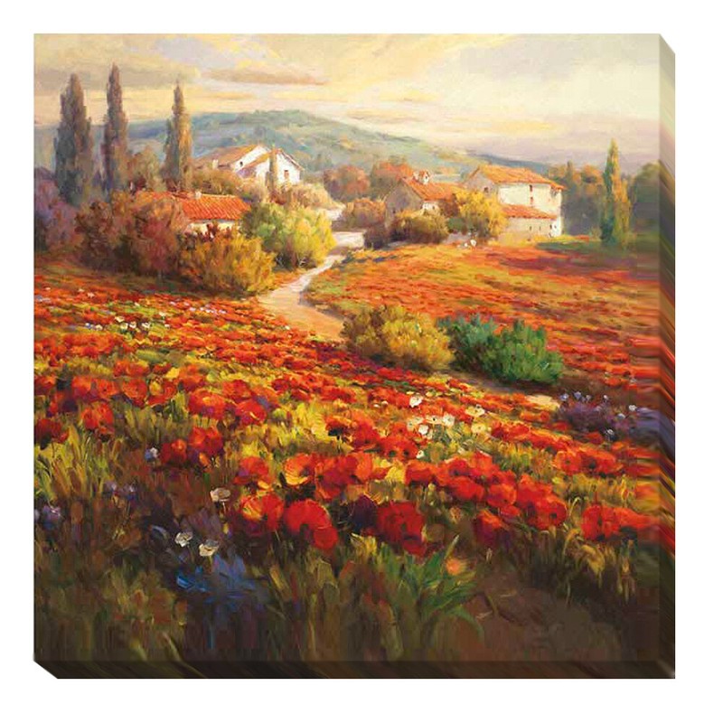 Poppy Fields by Lombardi Gallery-Wrapped Canvas Giclee Artwork (24 in x 24 in)