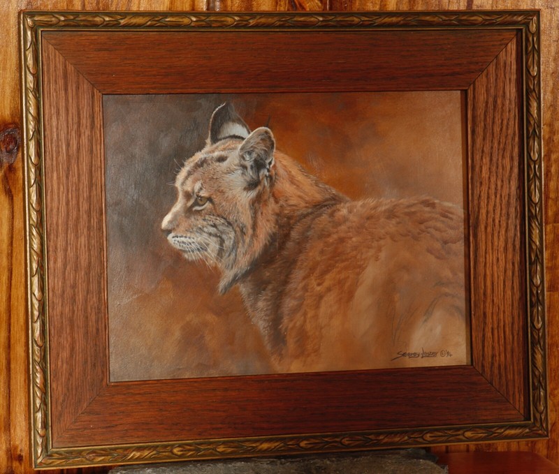 John Seerey-Lester Original Oil, «Bobcat Study» in Vintage Walnut Frame
