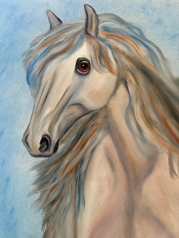 Original oil painting 11 x 14 inches beautiful horse stallion signed canvas gallery
