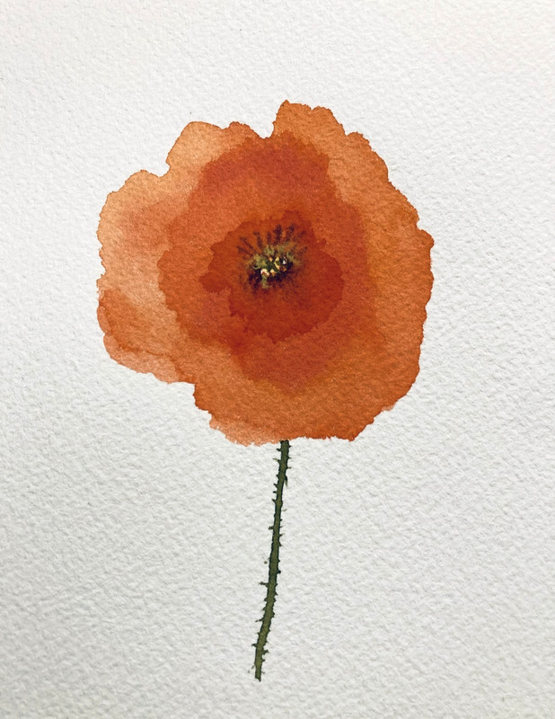 Red Poppy California Flower Watercolor Original Art Small