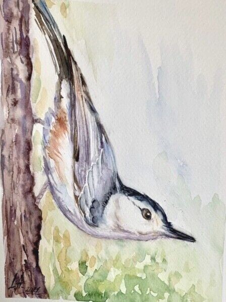 Backyard birds White -breasted Nuthatch Watercolor Original Painting