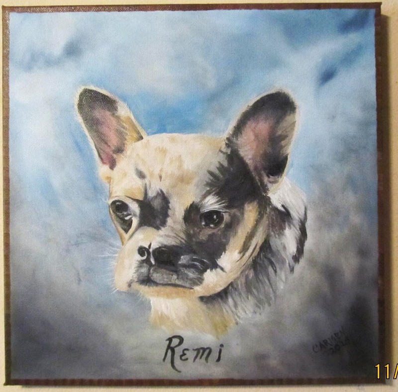 A PORTRAIT OF YOUR DOG, YOUR PHOTO, SATISFACTION GUARANTEED