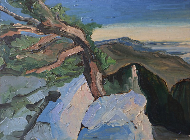 Original Oil Painting, Listed Artist W. Holland 9×12 Inches Landscape 1048