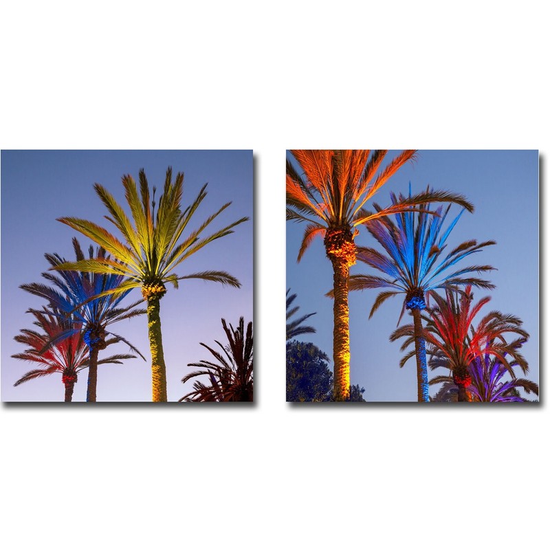 Colored Palms by Barbara Markoff 2-pc Canvas Giclee Art Set (24 in x 24 in each)