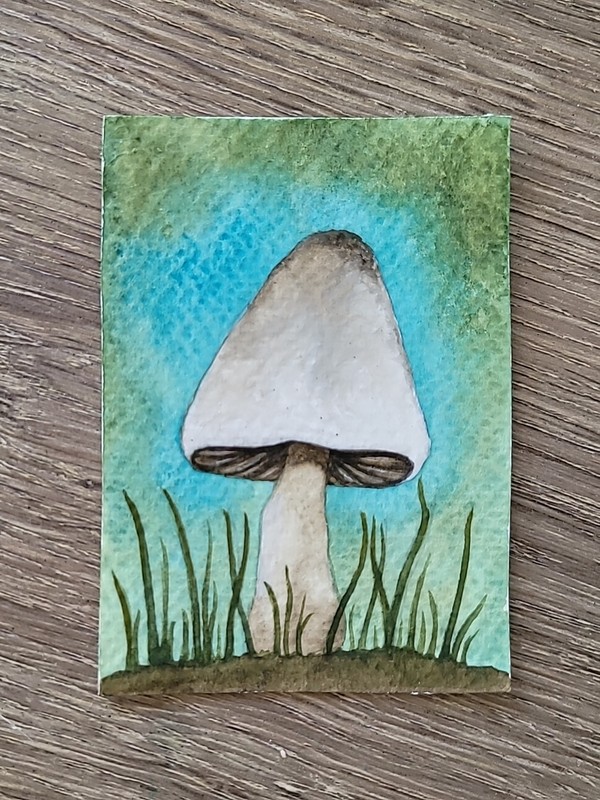 Aceo Original Watercolor Painting White Cap Forest Mushroom gallery